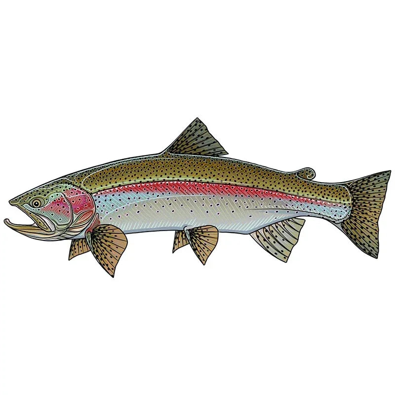 Car Stickers Wild Brown Trout Caravan Accessories Personality, Sticker Products Exterior Parts PVC Stylish, Decoration Cute