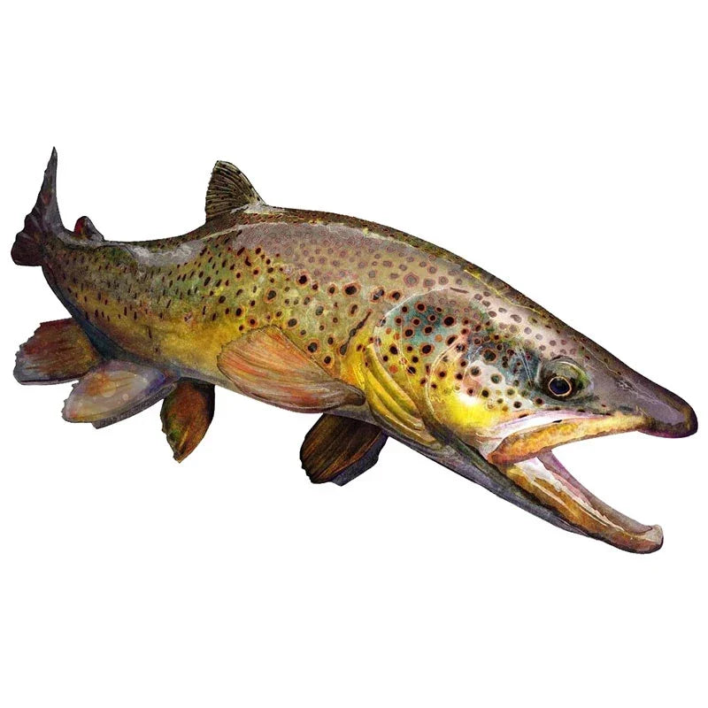 Car Stickers Wild Brown Trout Caravan Accessories Personality, Sticker Products Exterior Parts PVC Stylish, Decoration Cute