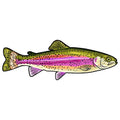 Car Stickers Wild Brown Trout Caravan Accessories Personality, Sticker Products Exterior Parts PVC Stylish, Decoration Cute